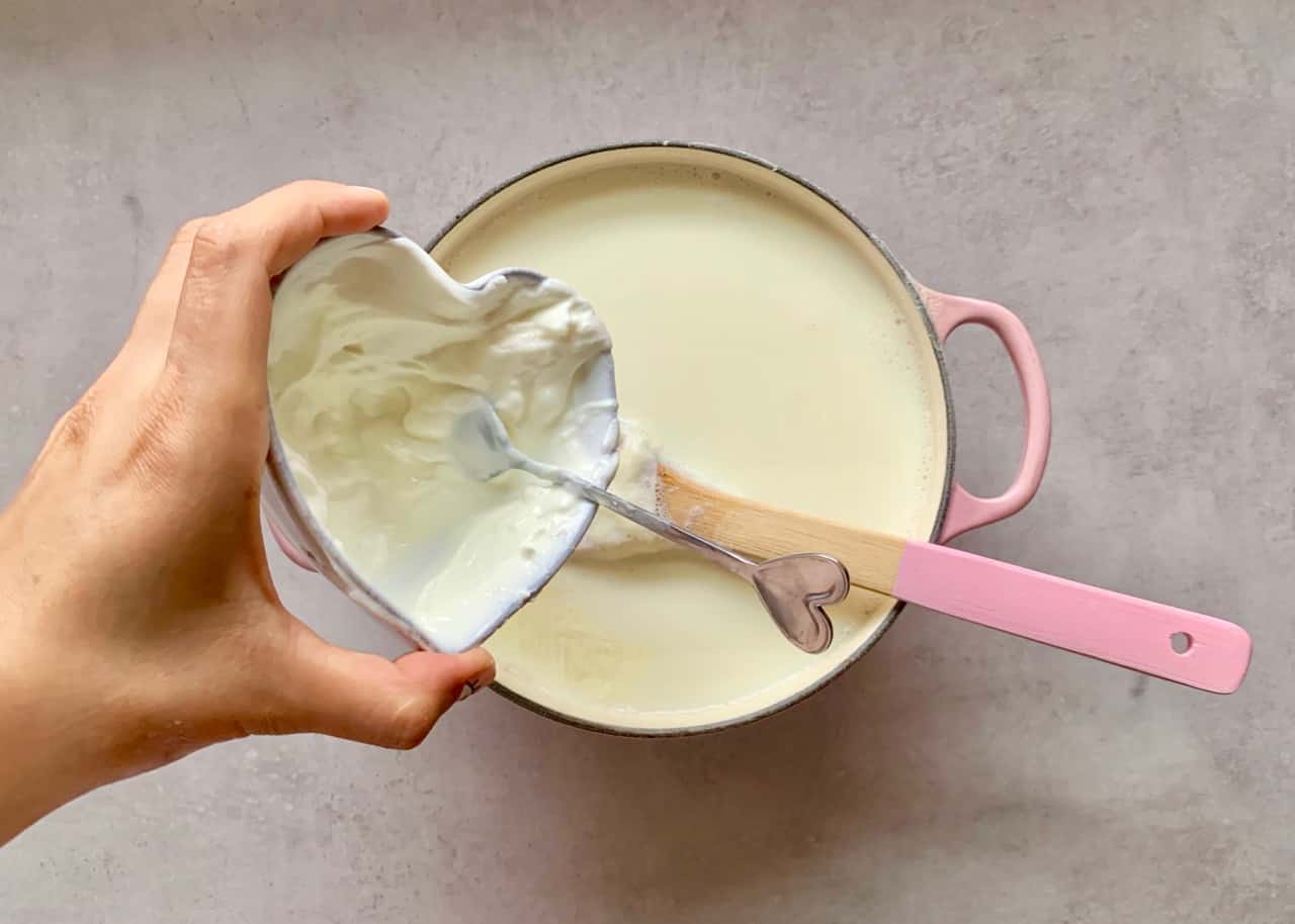 misturar iogurte natural|iogurte natural bacterias|iogurte natural|iogurte caseiro receita|iogurte natural receita|iogurte low carb